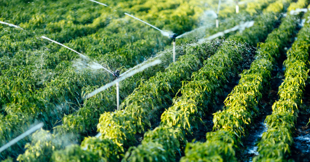 FSMA Final Rule on Pre-Harvest Agricultural Water