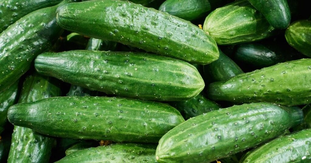 Outbreak Investigation of Salmonella: Cucumbers