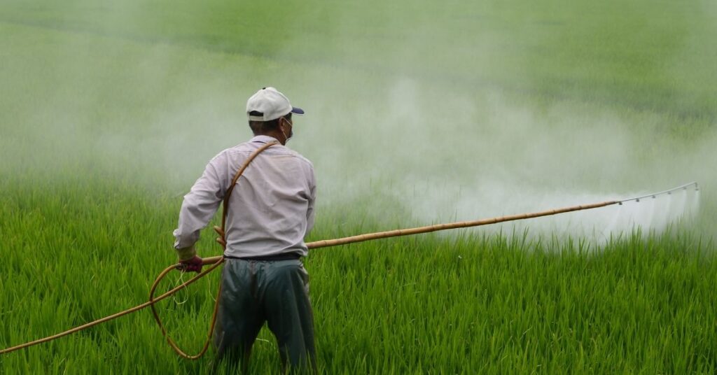 Pesticide residues in food: latest figures released